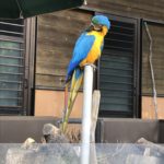 東京都立多摩動物公園